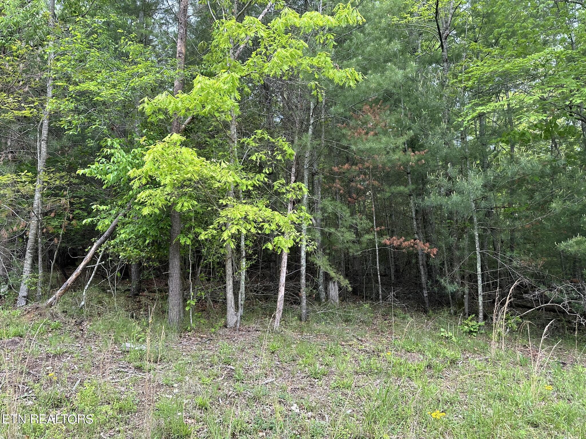 114 Forest Hill Drive Fairfield Glade TN 38558
