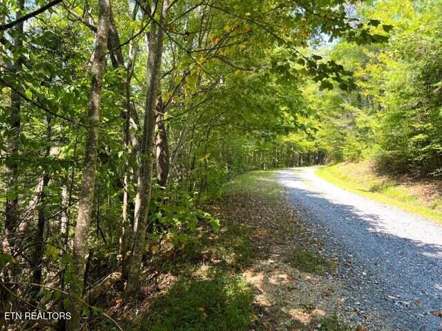 Tract 8 Faith Mountain Way Hartford TN 37753