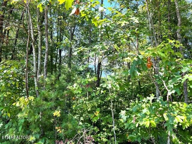 Tract 8 Faith Mountain Way Hartford TN 37753