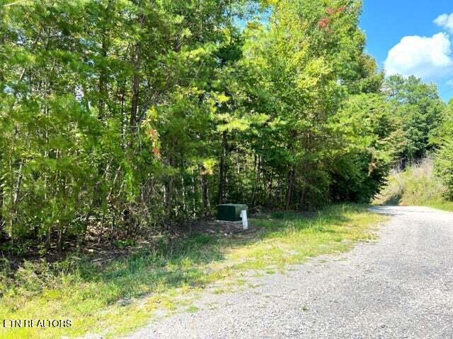 Tract 8 Faith Mountain Way Hartford TN 37753