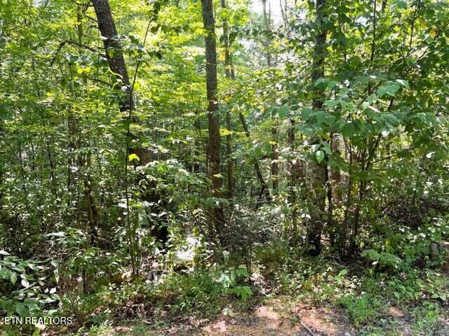 Tract 8 Faith Mountain Way Hartford TN 37753