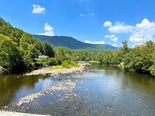 Tract 8 Faith Mountain Way Hartford TN 37753