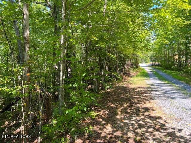 Tract 8 Faith Mountain Way Hartford TN 37753