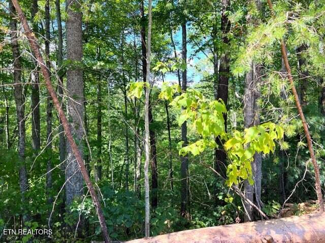 Tract 8 Faith Mountain Way Hartford TN 37753