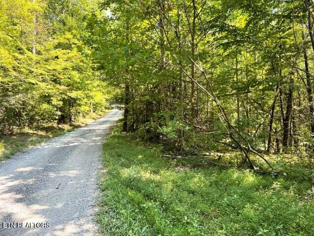 Tract 8 Faith Mountain Way Hartford TN 37753