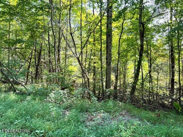 Tract 8 Faith Mountain Way Hartford TN 37753