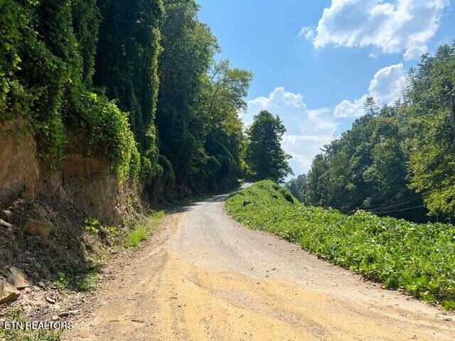 Tract 8 Faith Mountain Way Hartford TN 37753