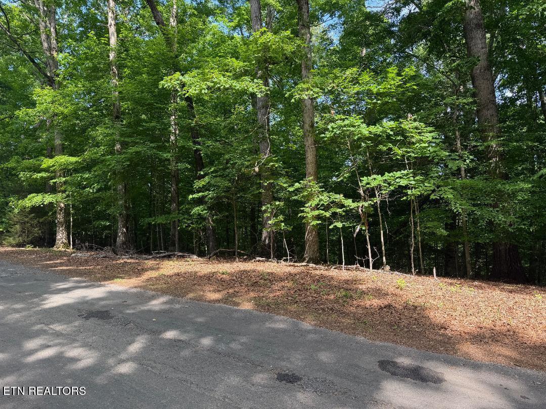 Beechwood Drive Dandridge TN 37725