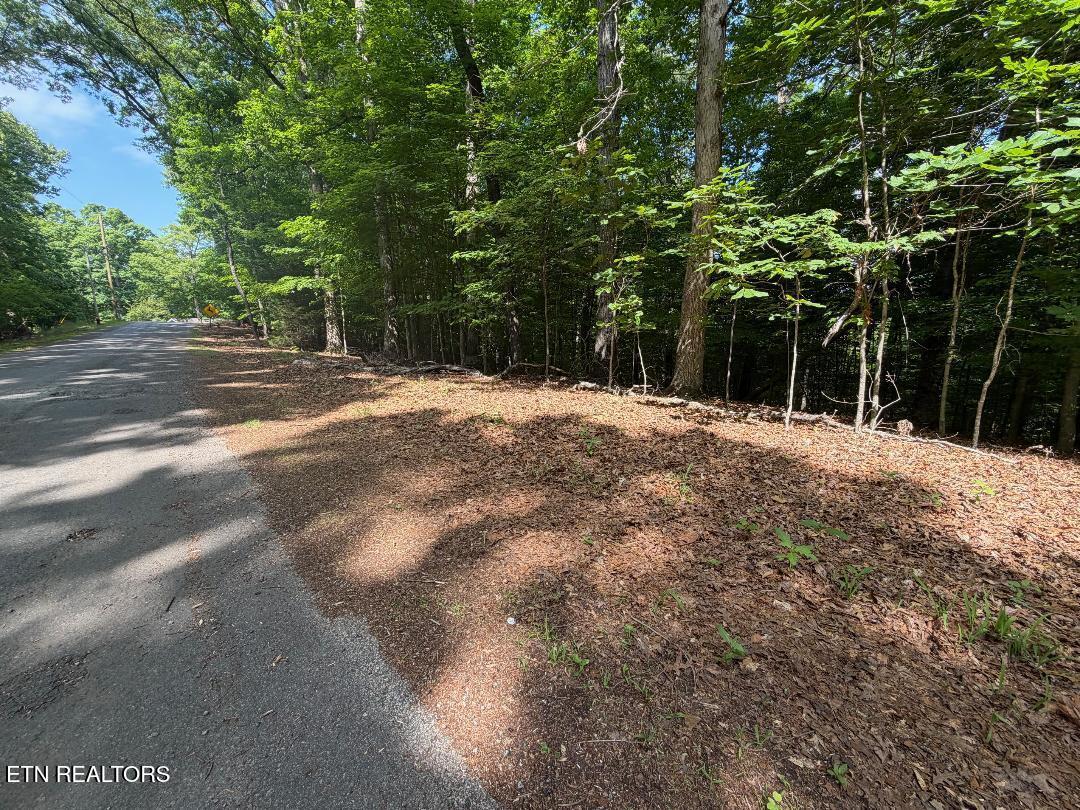 Beechwood Drive Dandridge TN 37725