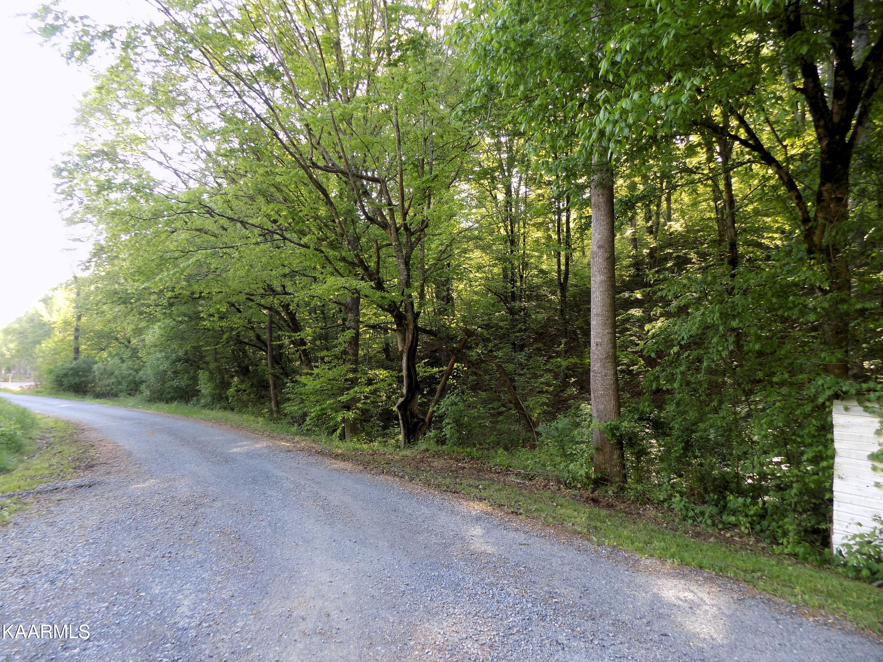 Par 023.04 Driftwood Road Cosby TN 37722