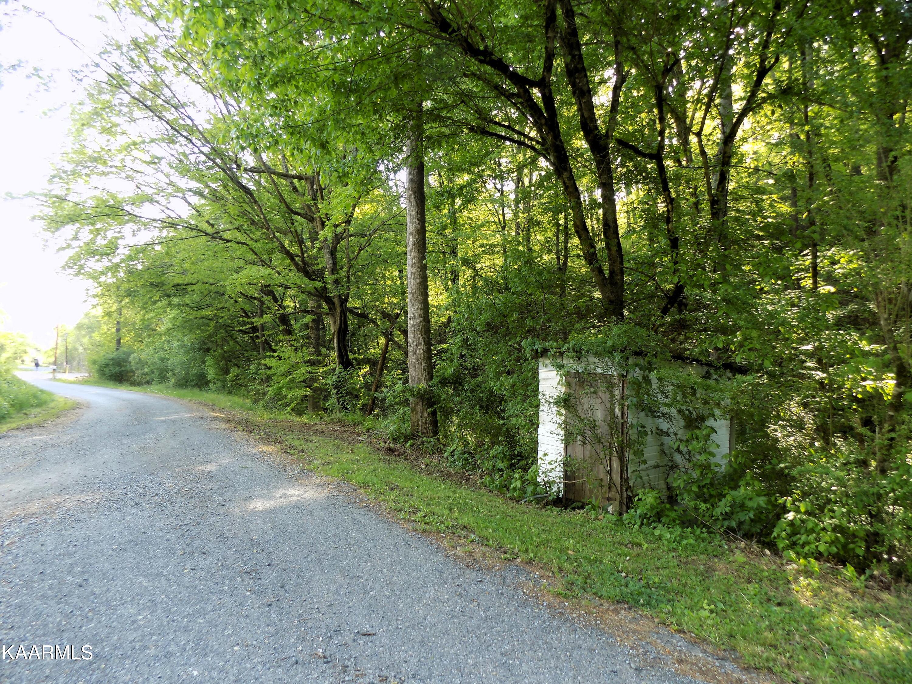 Par 023.04 Driftwood Road Cosby TN 37722
