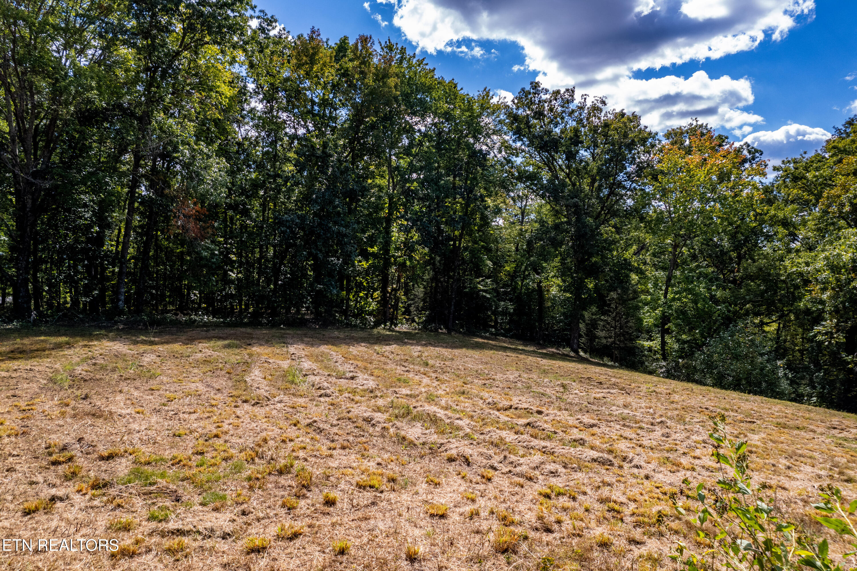 150 Hidden Trace Way (Lot 5) Maryville TN 37803