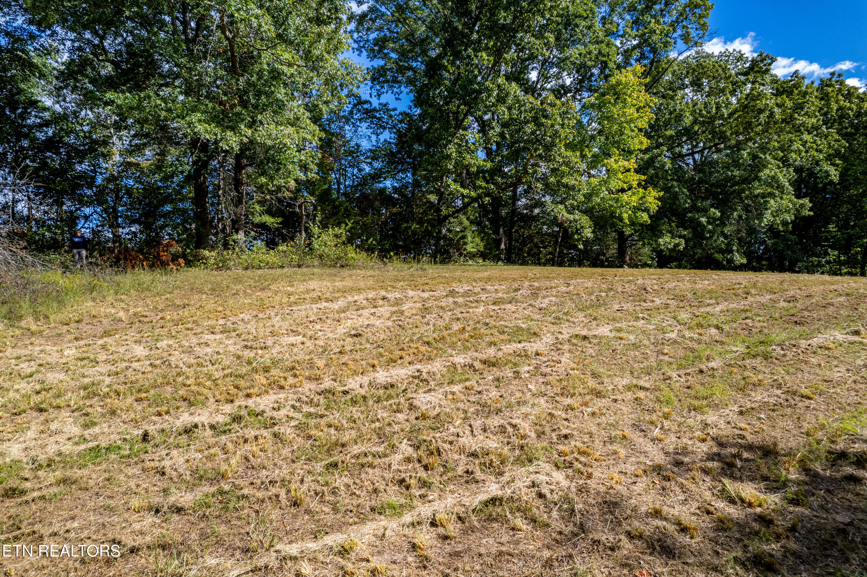 150 Hidden Trace Way (Lot 5) Maryville TN 37803