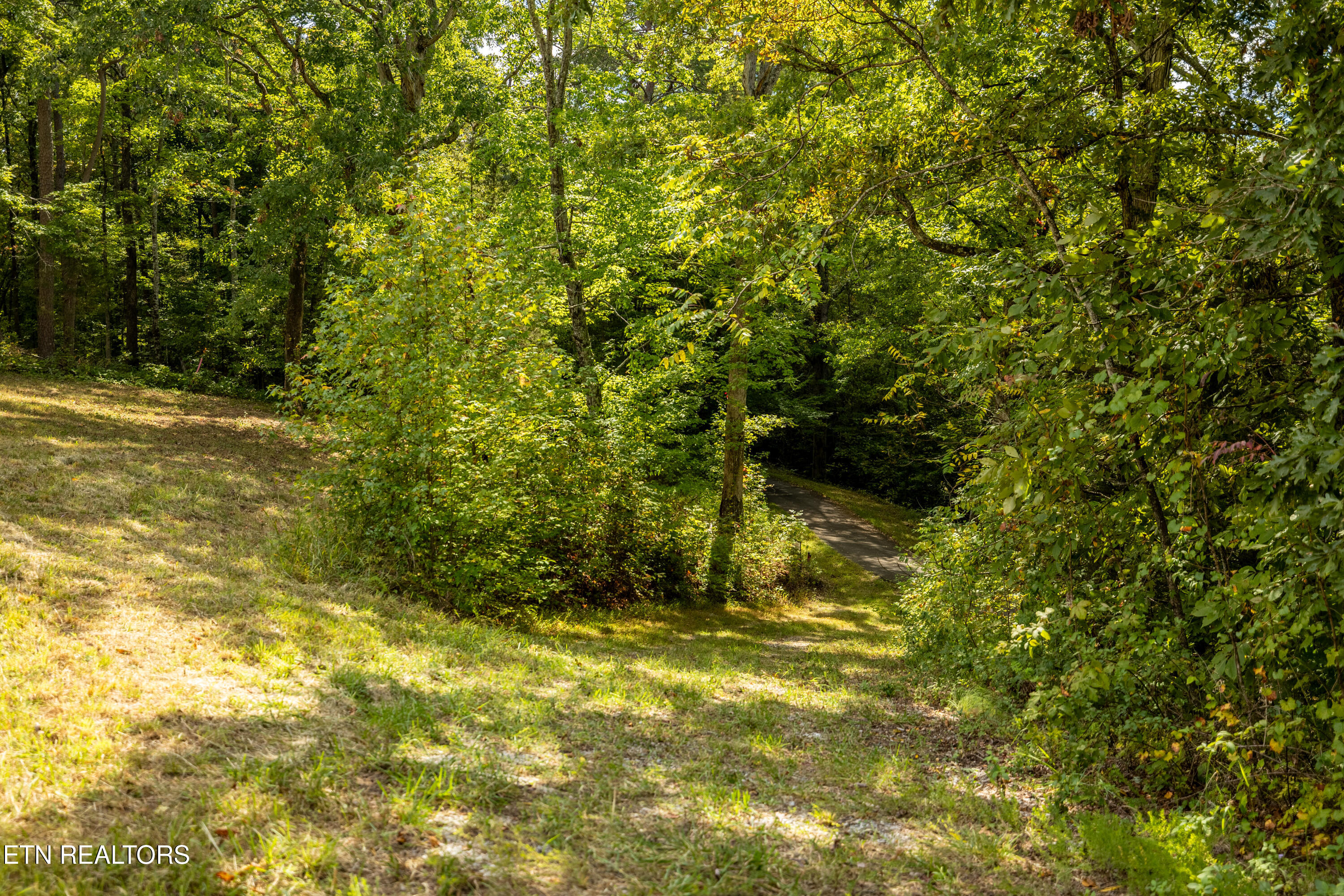 150 Hidden Trace Way (Lot 5) Maryville TN 37803