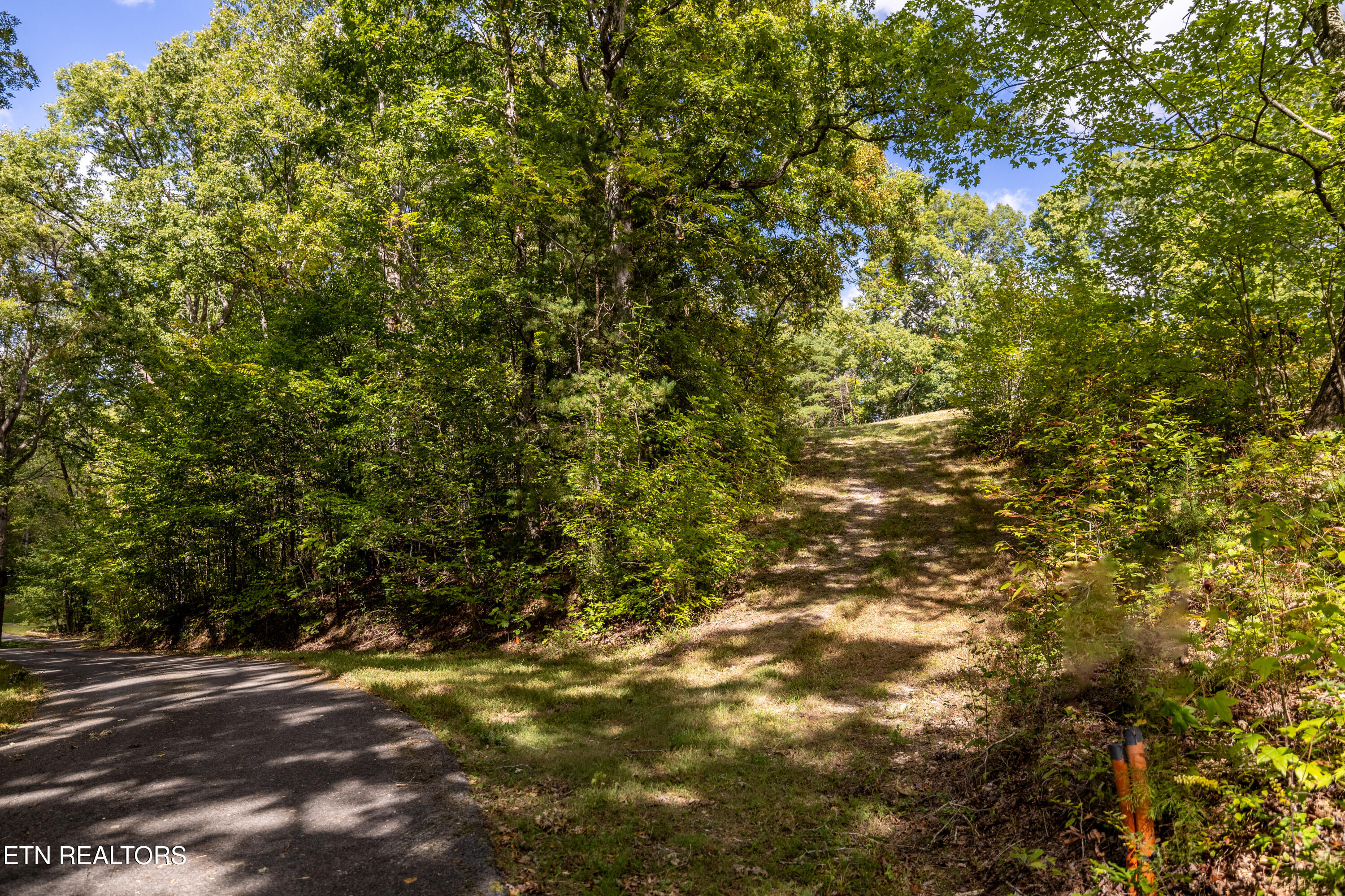 150 Hidden Trace Way (Lot 5) Maryville TN 37803