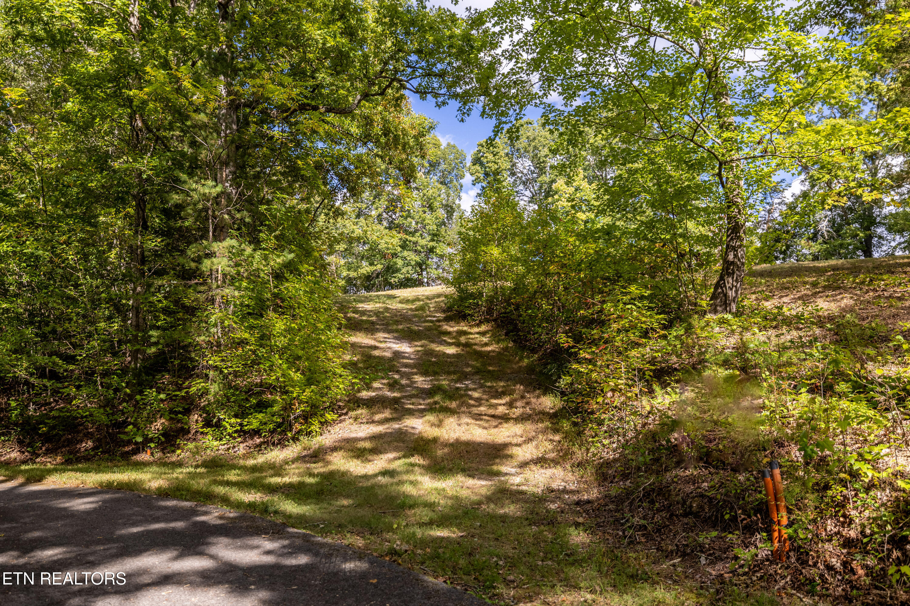 150 Hidden Trace Way (Lot 5) Maryville TN 37803