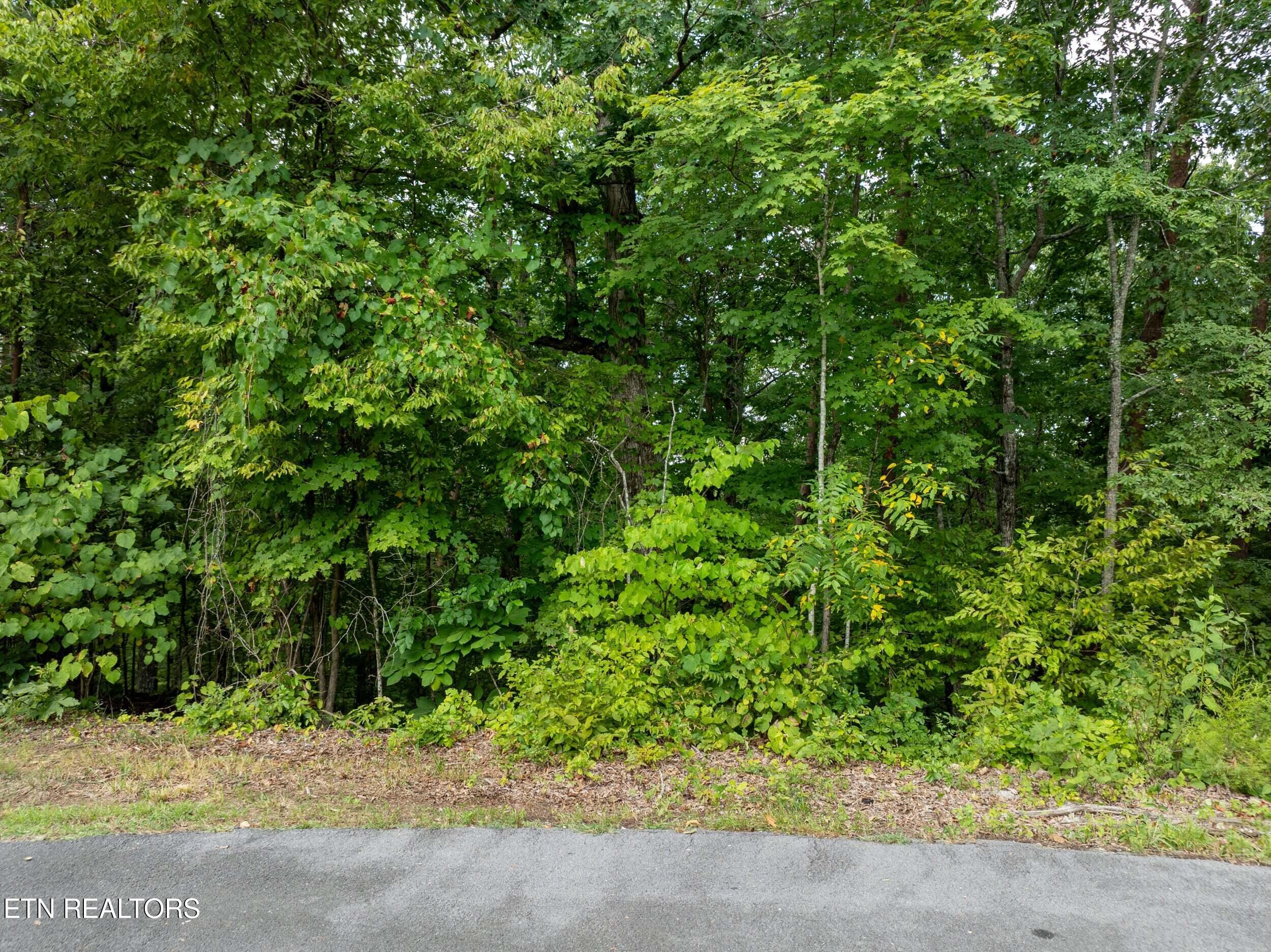 Lot 56 Blue Byrd Lane Kodak TN 37764