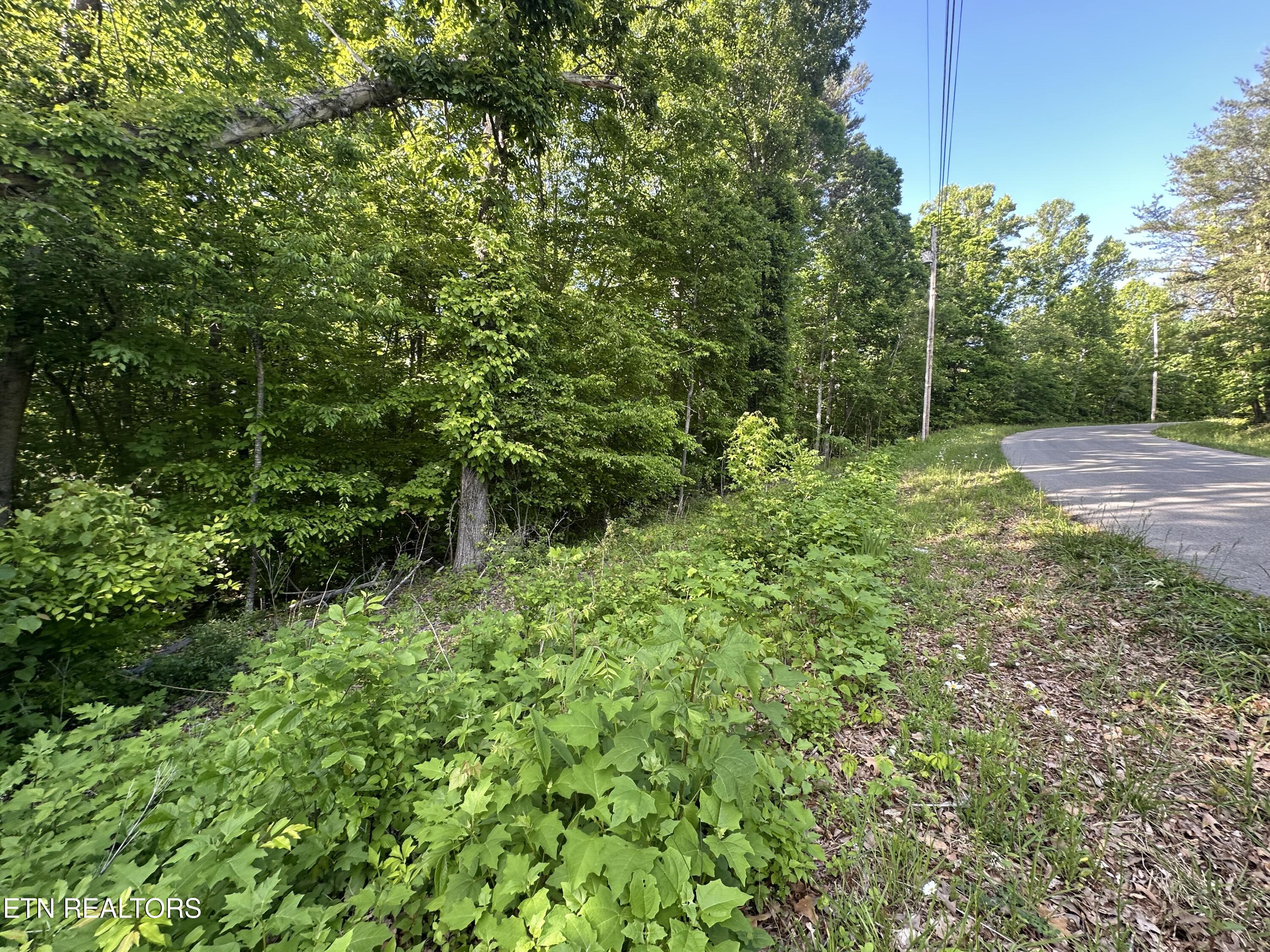 Pine Hollow Road Jacksboro TN 37757