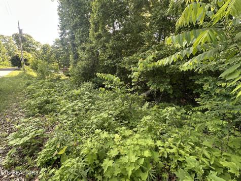 Pine Hollow Road Jacksboro TN 37757