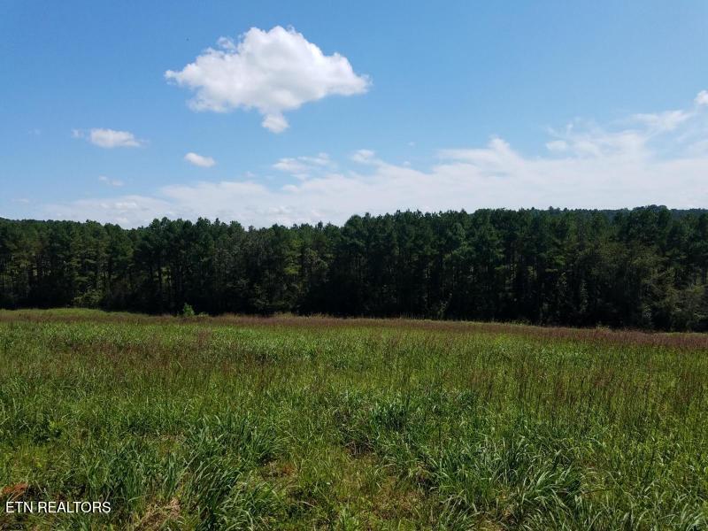 Tommy Loop Road Sweetwater TN 37874