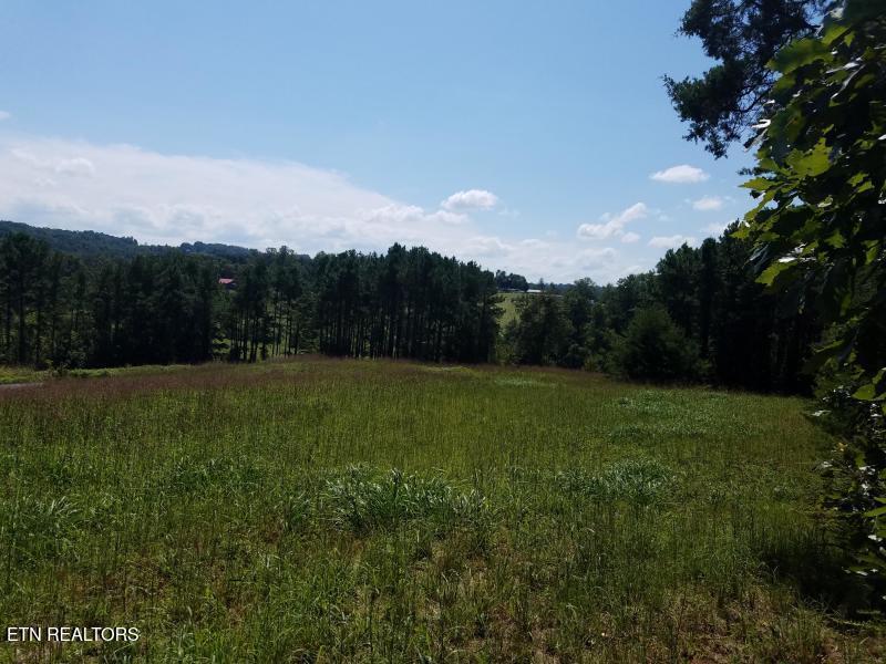 Tommy Loop Road Sweetwater TN 37874