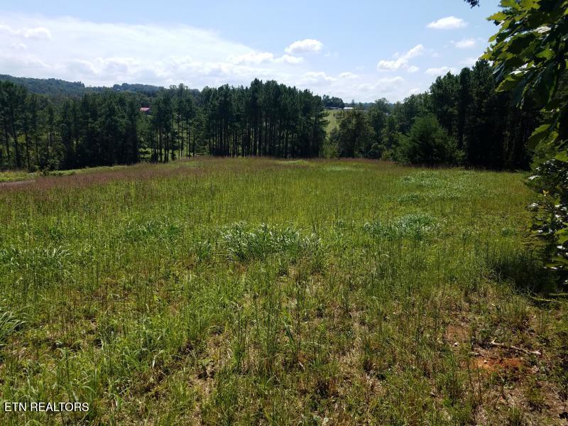 Tommy Loop Road Sweetwater TN 37874