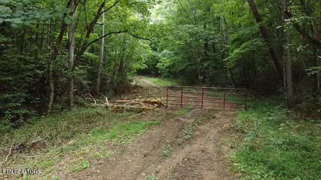 171 Acres Scenic River Road Madisonville TN 37354