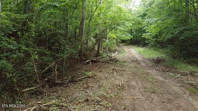 171 Acres Scenic River Road Madisonville TN 37354
