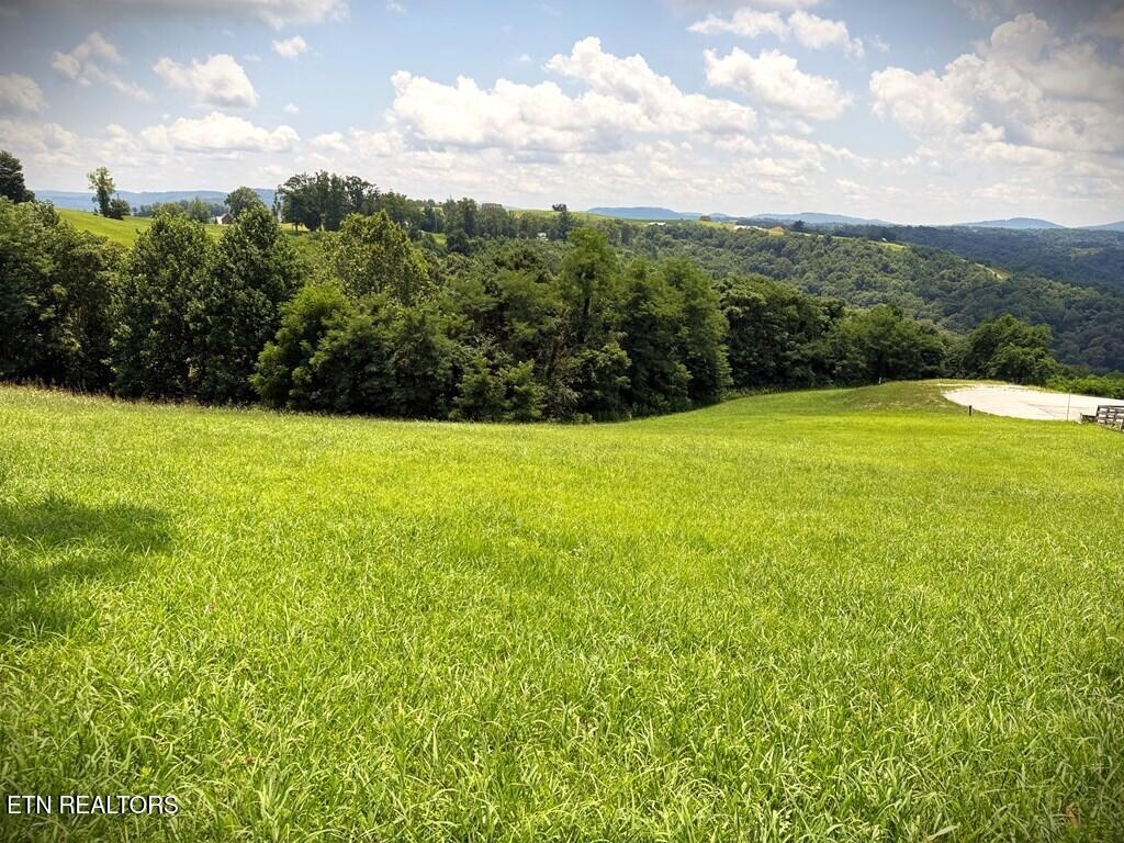 24B Bluegill Lane Hilham TN 38568