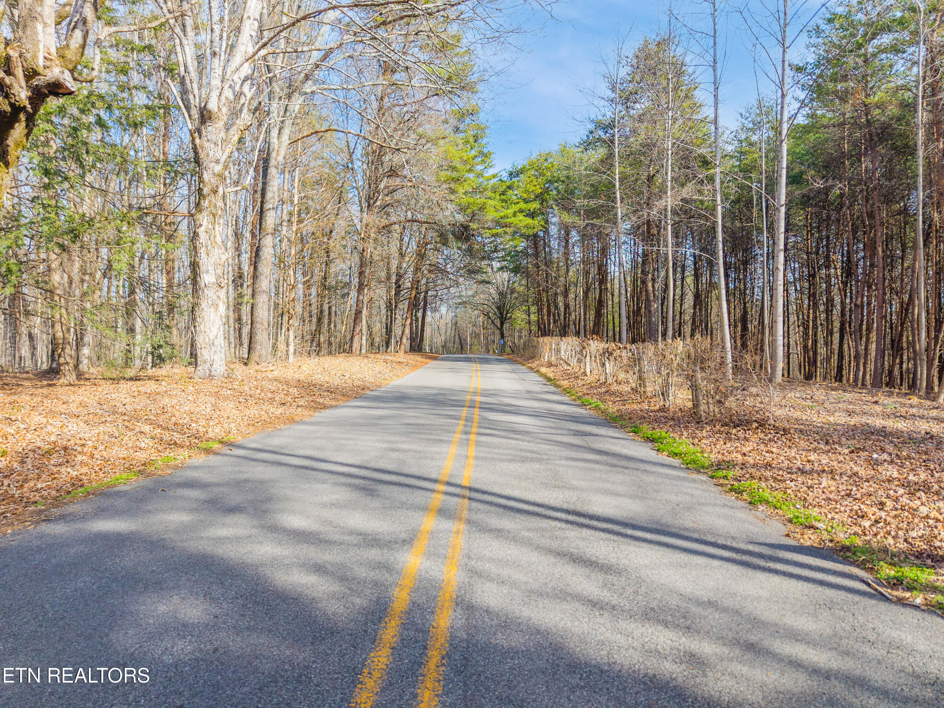 County Road 260 Lot 1 Niota TN 37826