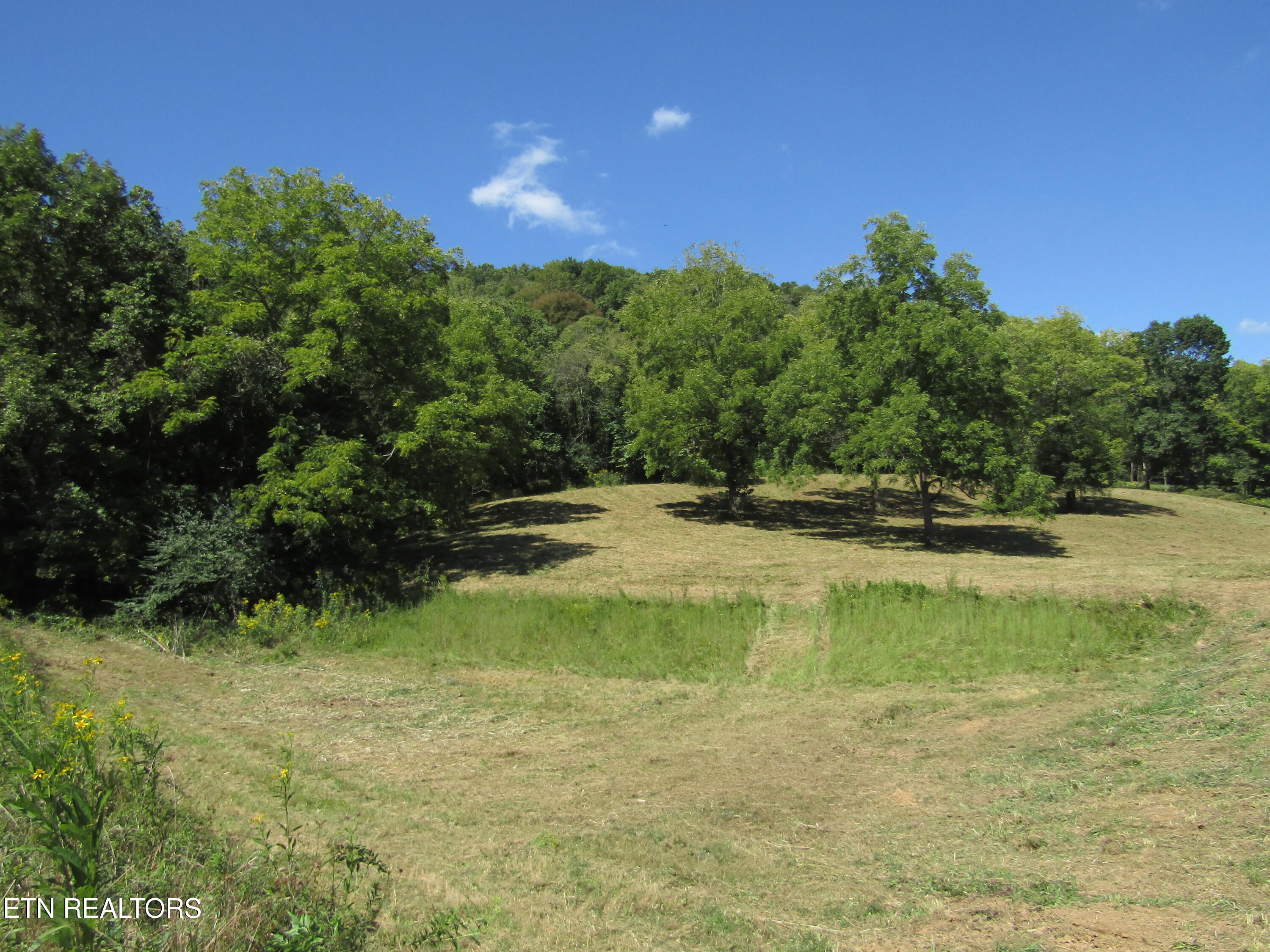 14AC Hartsville Road Lafayette TN 37083