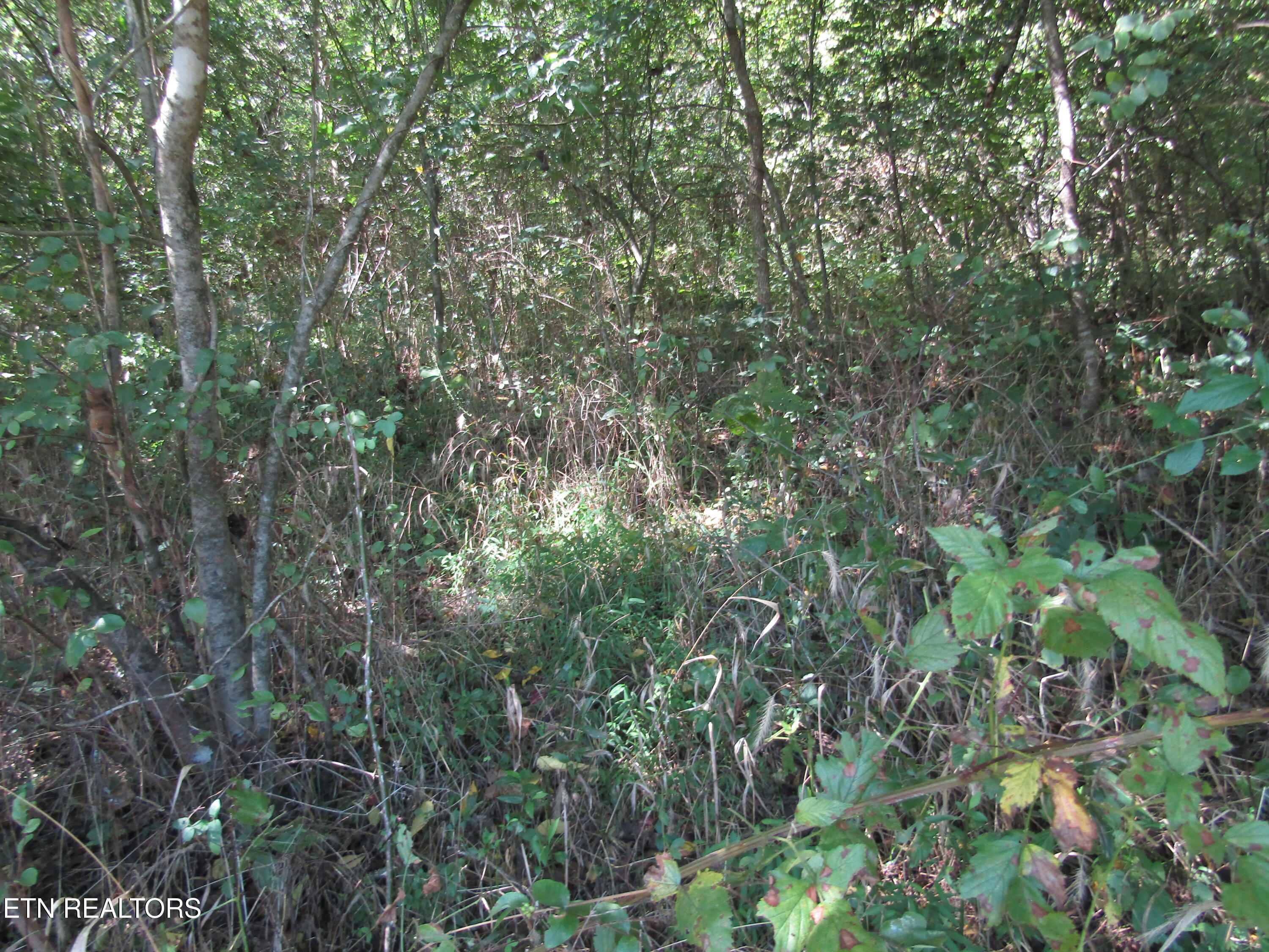 14AC Hartsville Road Lafayette TN 37083