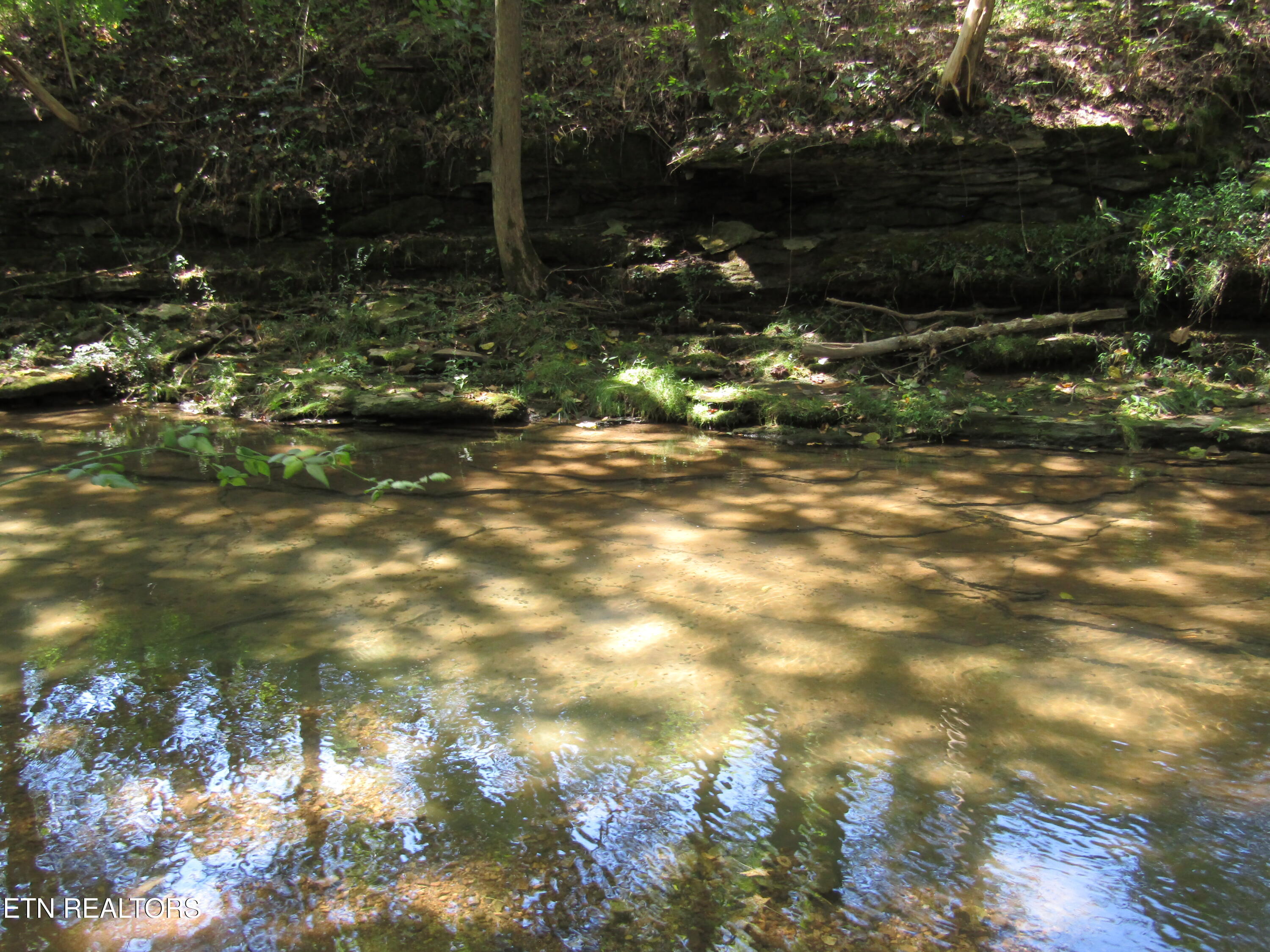 14AC Hartsville Road Lafayette TN 37083