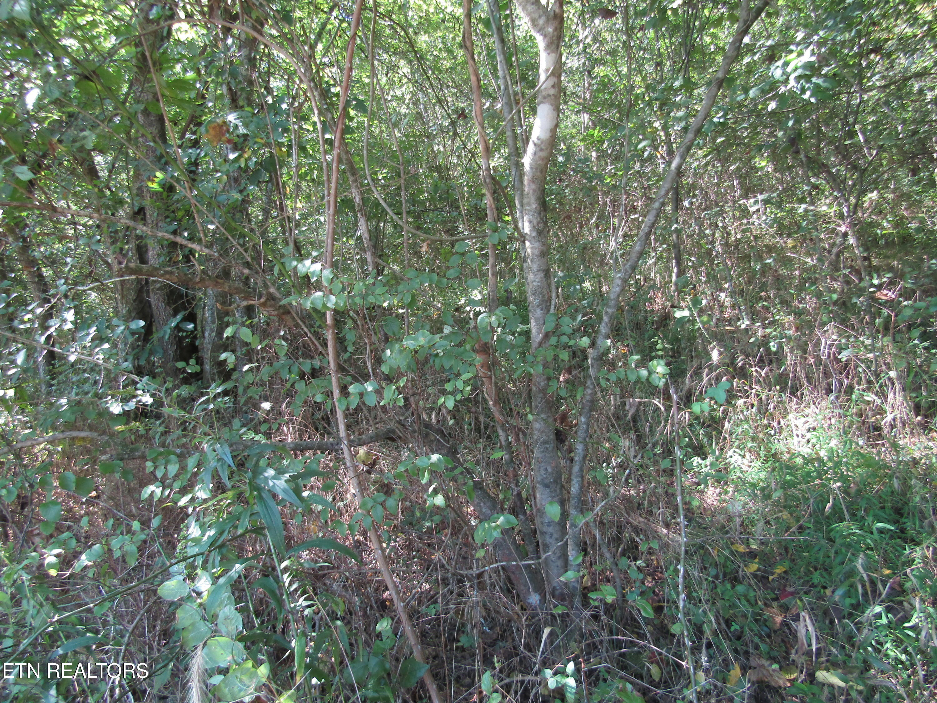 14AC Hartsville Road Lafayette TN 37083