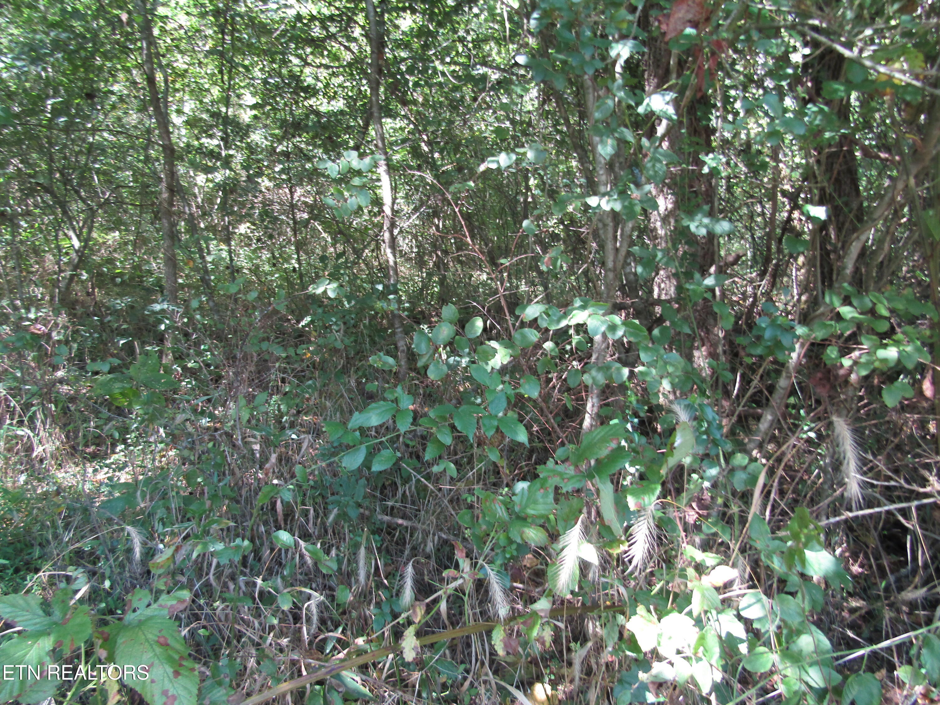 14AC Hartsville Road Lafayette TN 37083