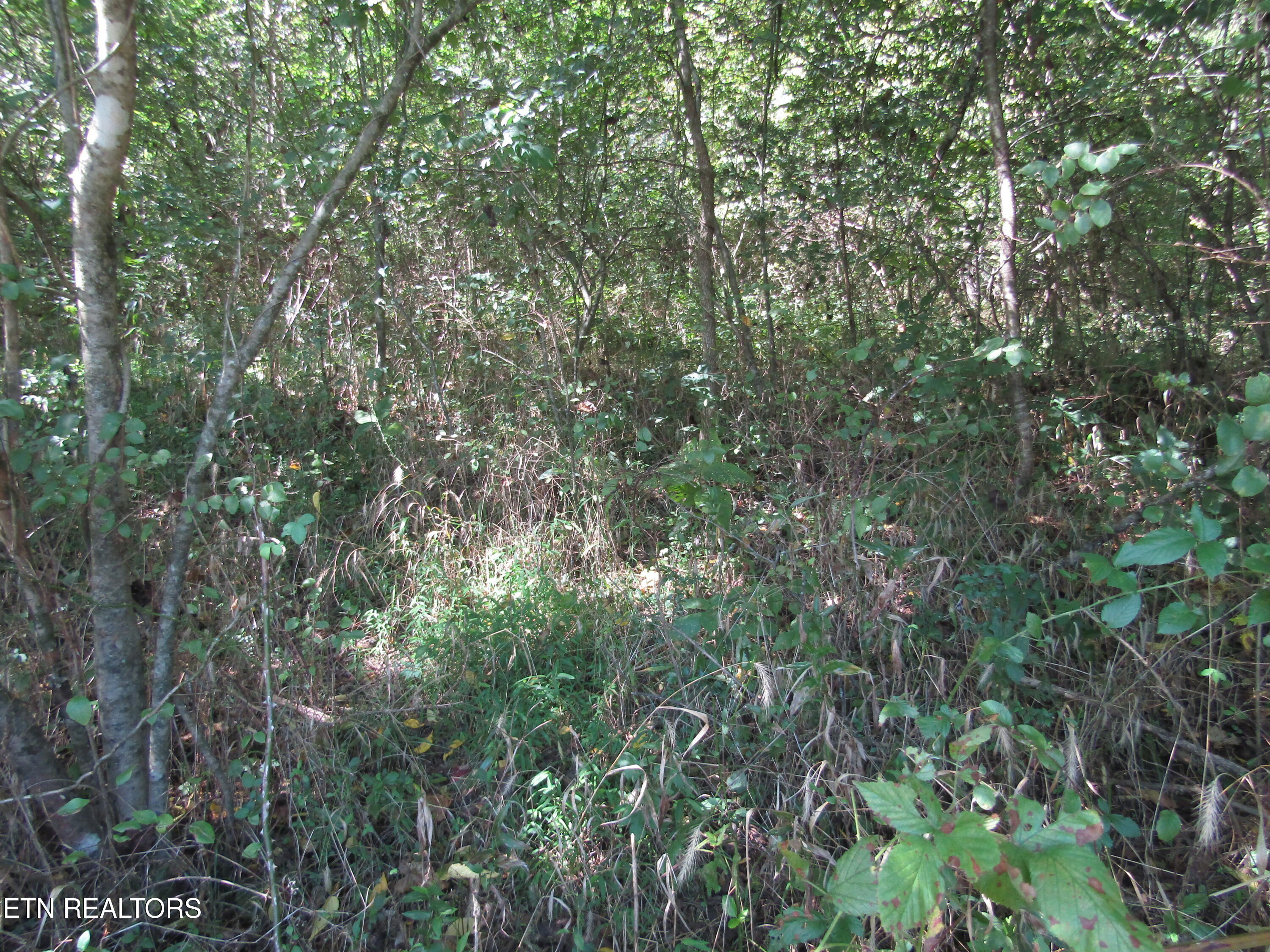 14AC Hartsville Road Lafayette TN 37083