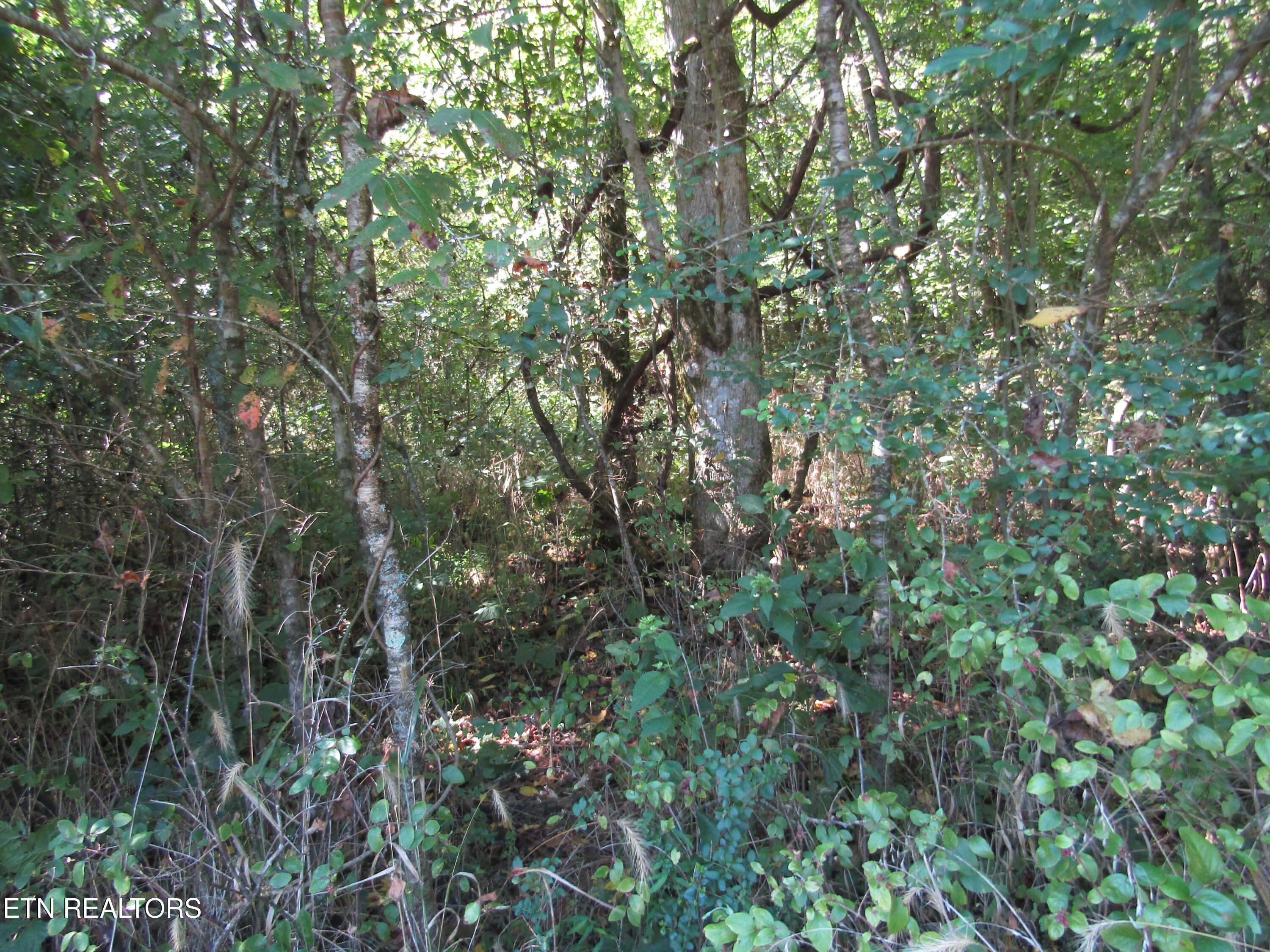 14AC Hartsville Road Lafayette TN 37083