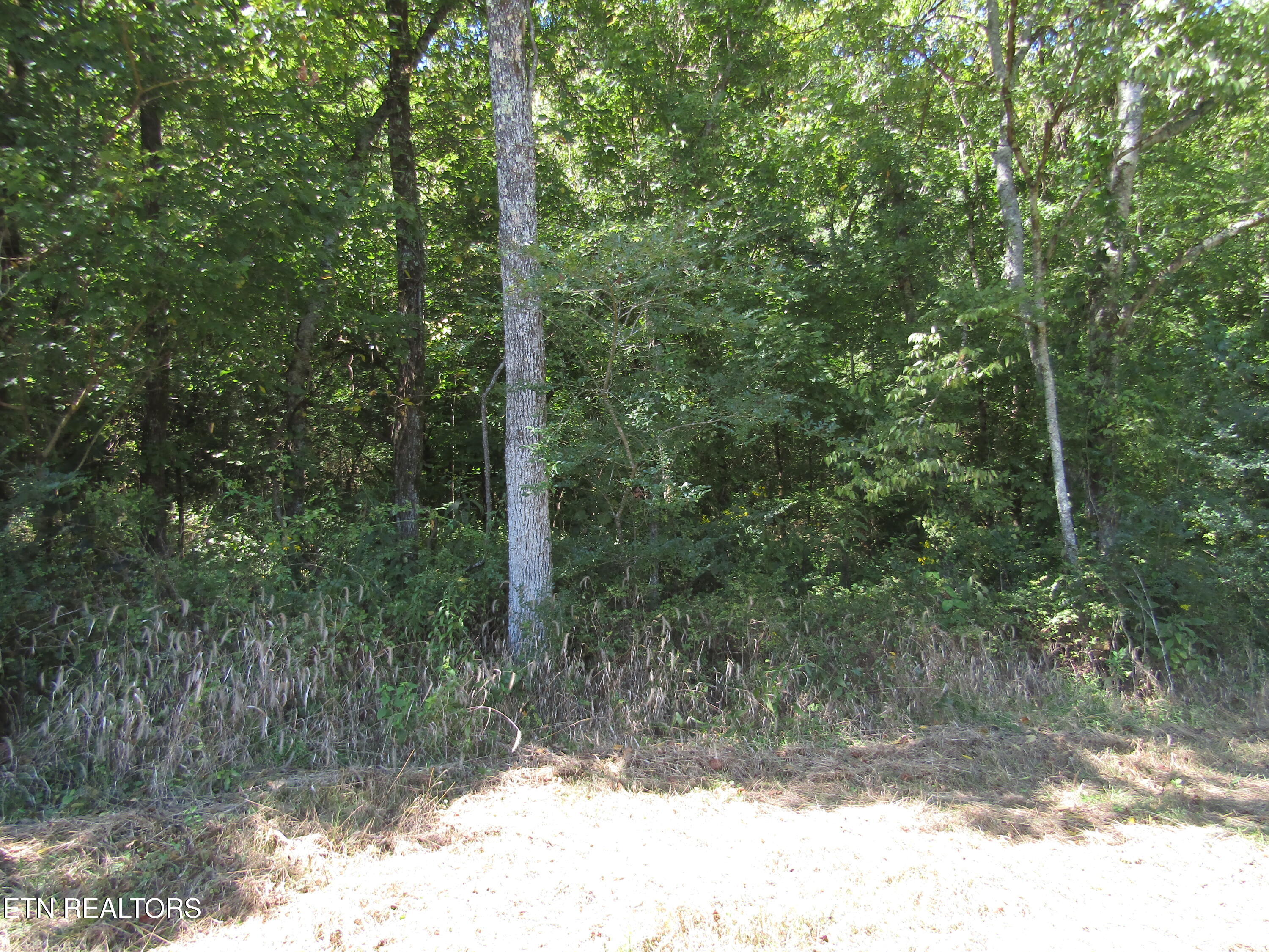 14AC Hartsville Road Lafayette TN 37083