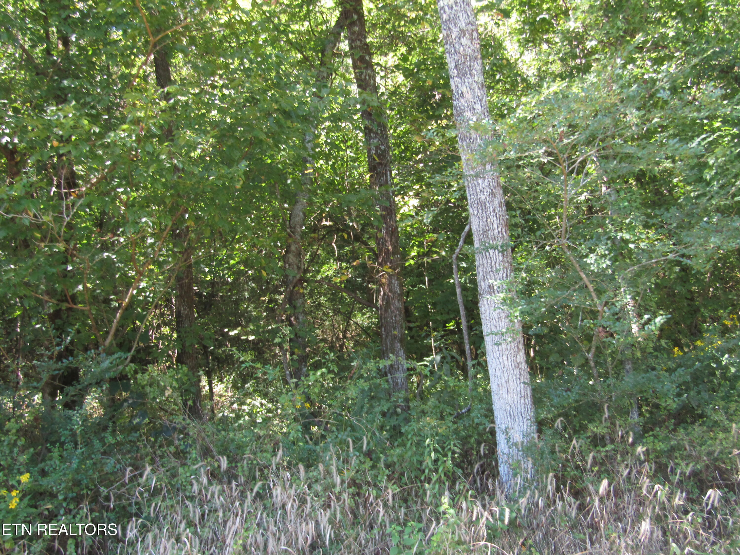 14AC Hartsville Road Lafayette TN 37083