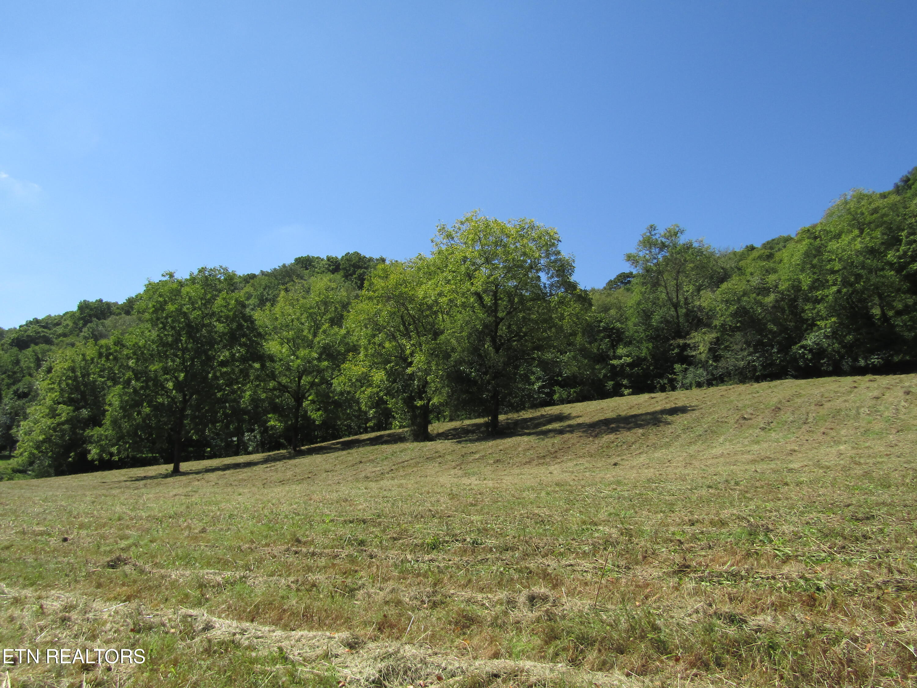 14AC Hartsville Road Lafayette TN 37083