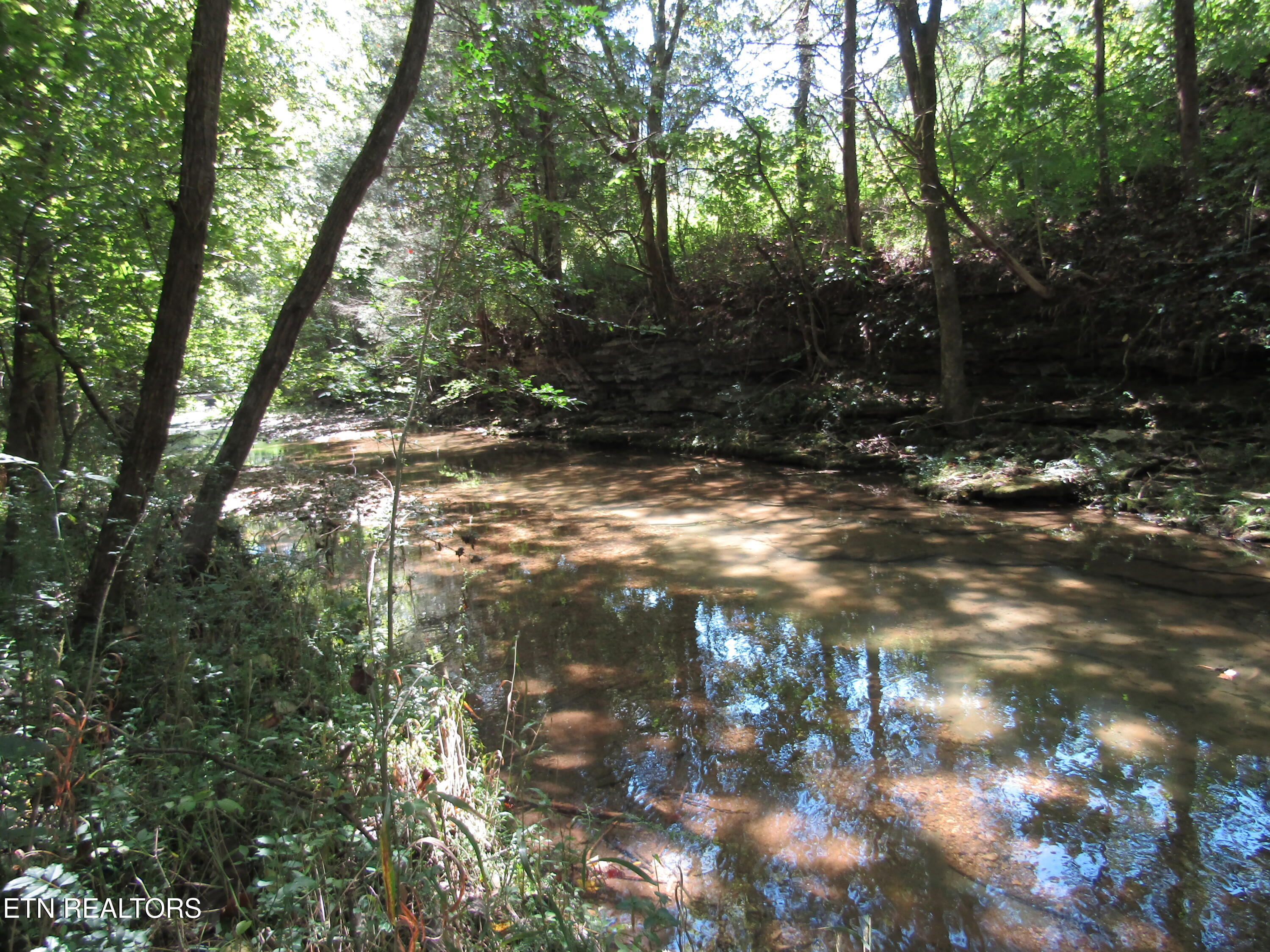 14AC Hartsville Road Lafayette TN 37083