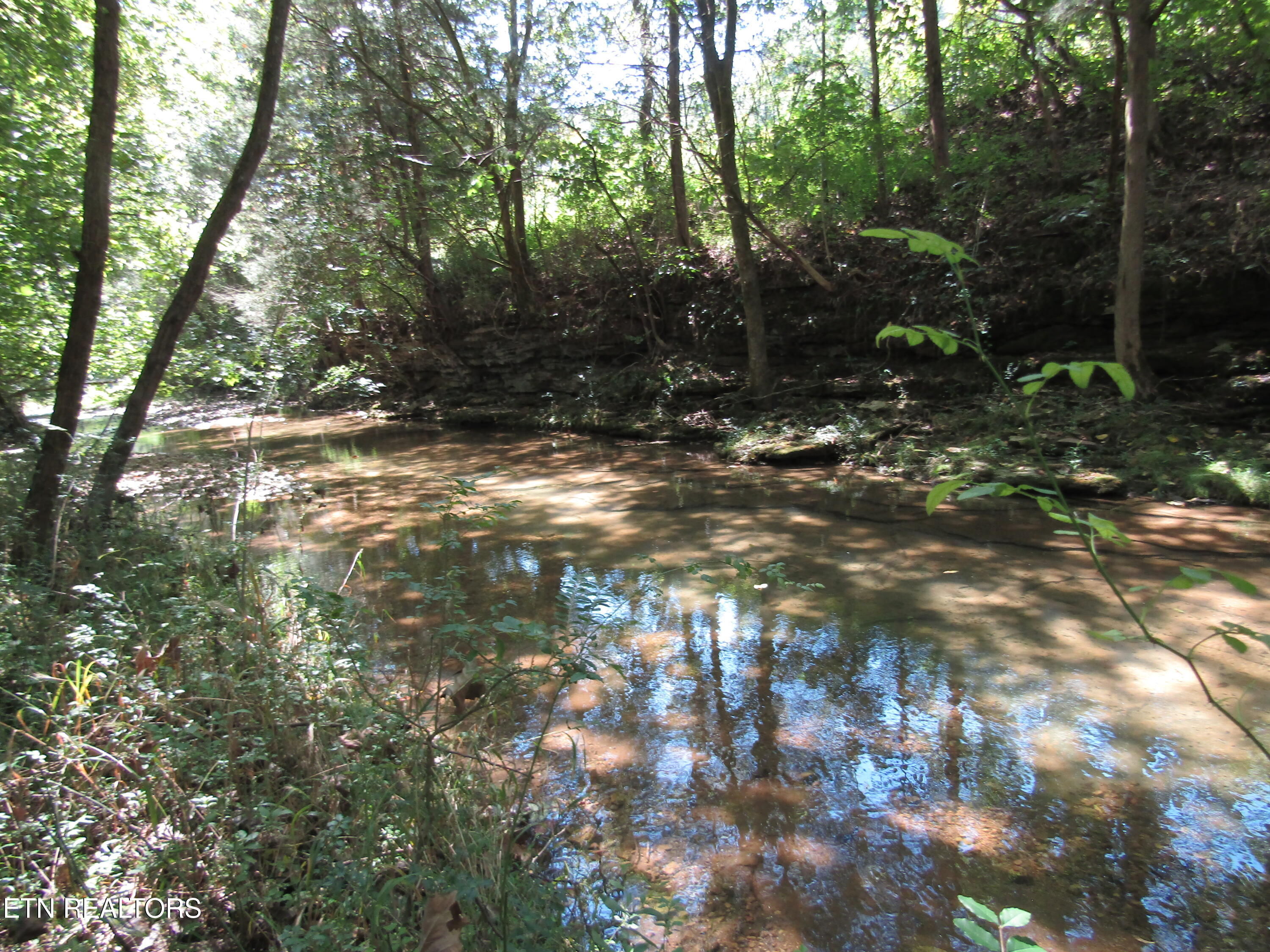 14AC Hartsville Road Lafayette TN 37083