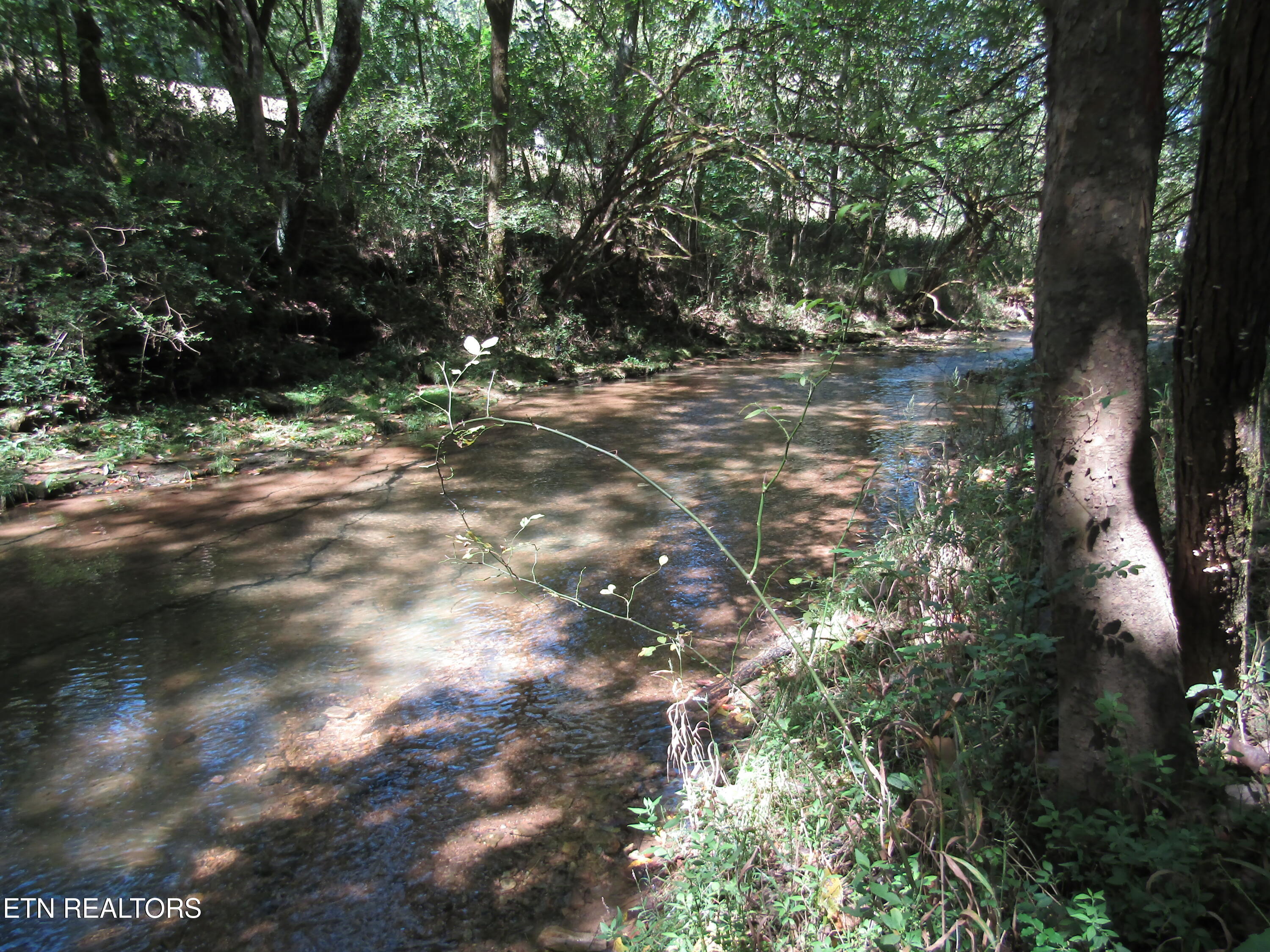 14AC Hartsville Road Lafayette TN 37083