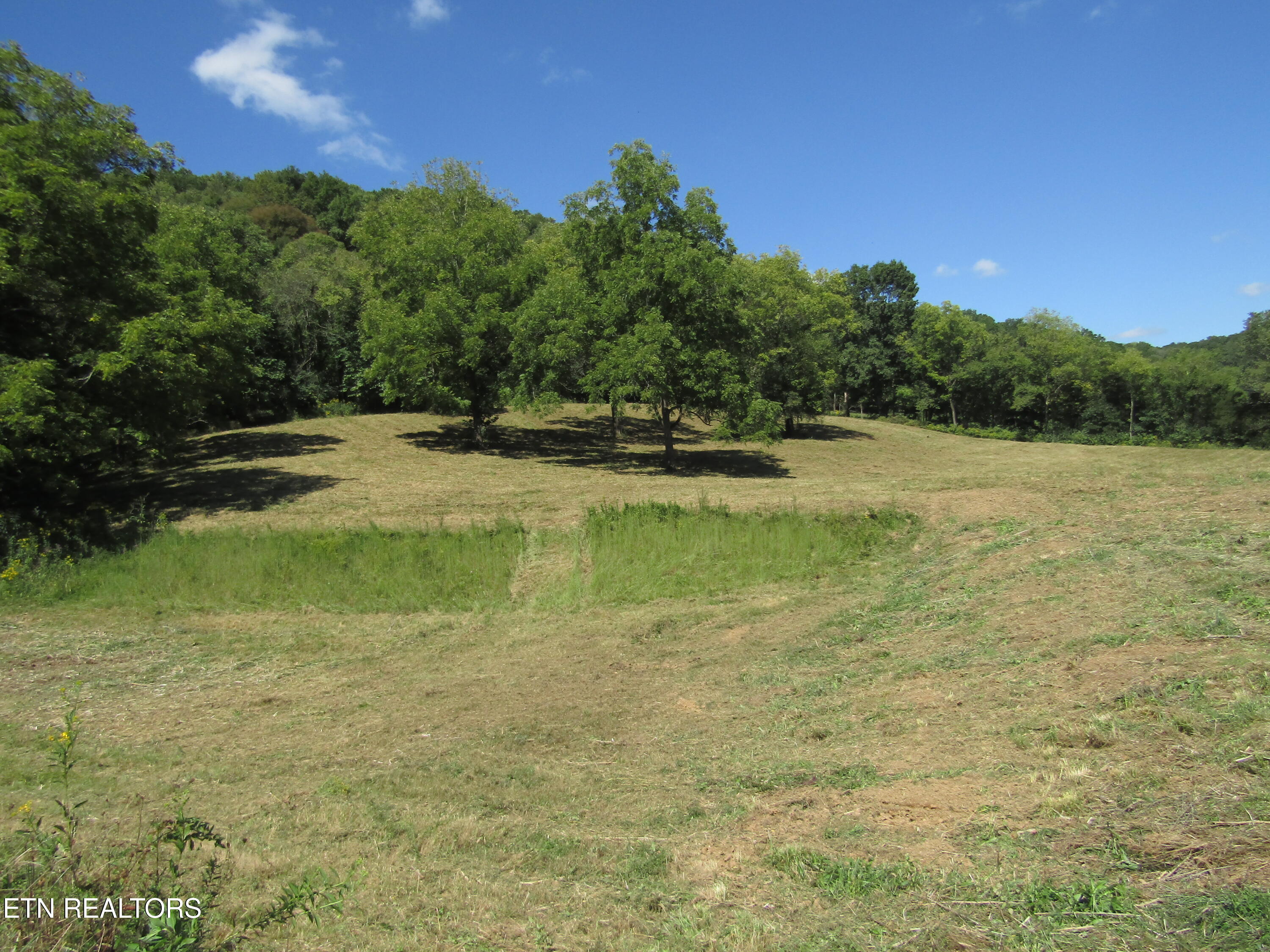 14AC Hartsville Road Lafayette TN 37083