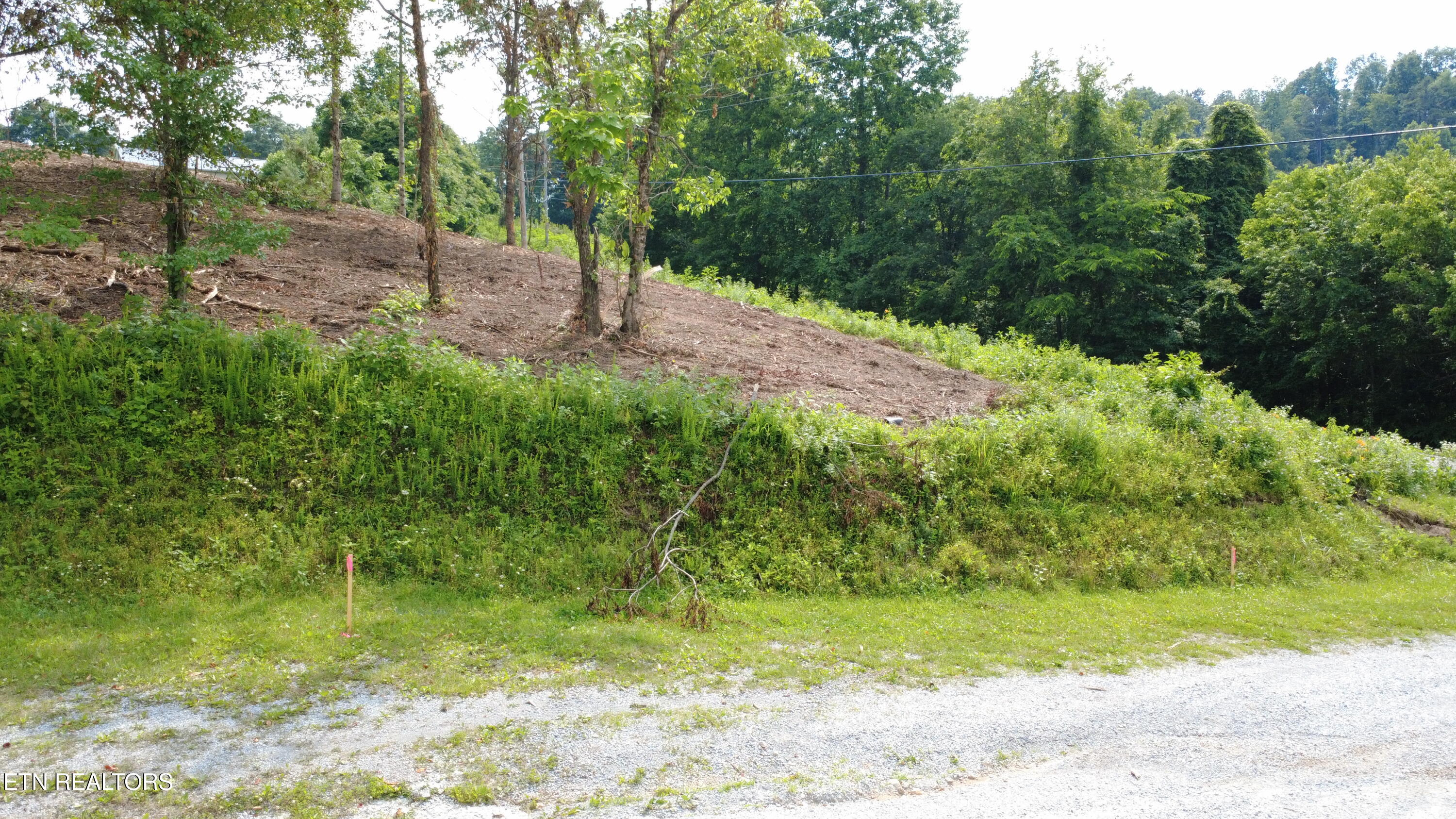 Grantsboro Road Lafollette TN 37766