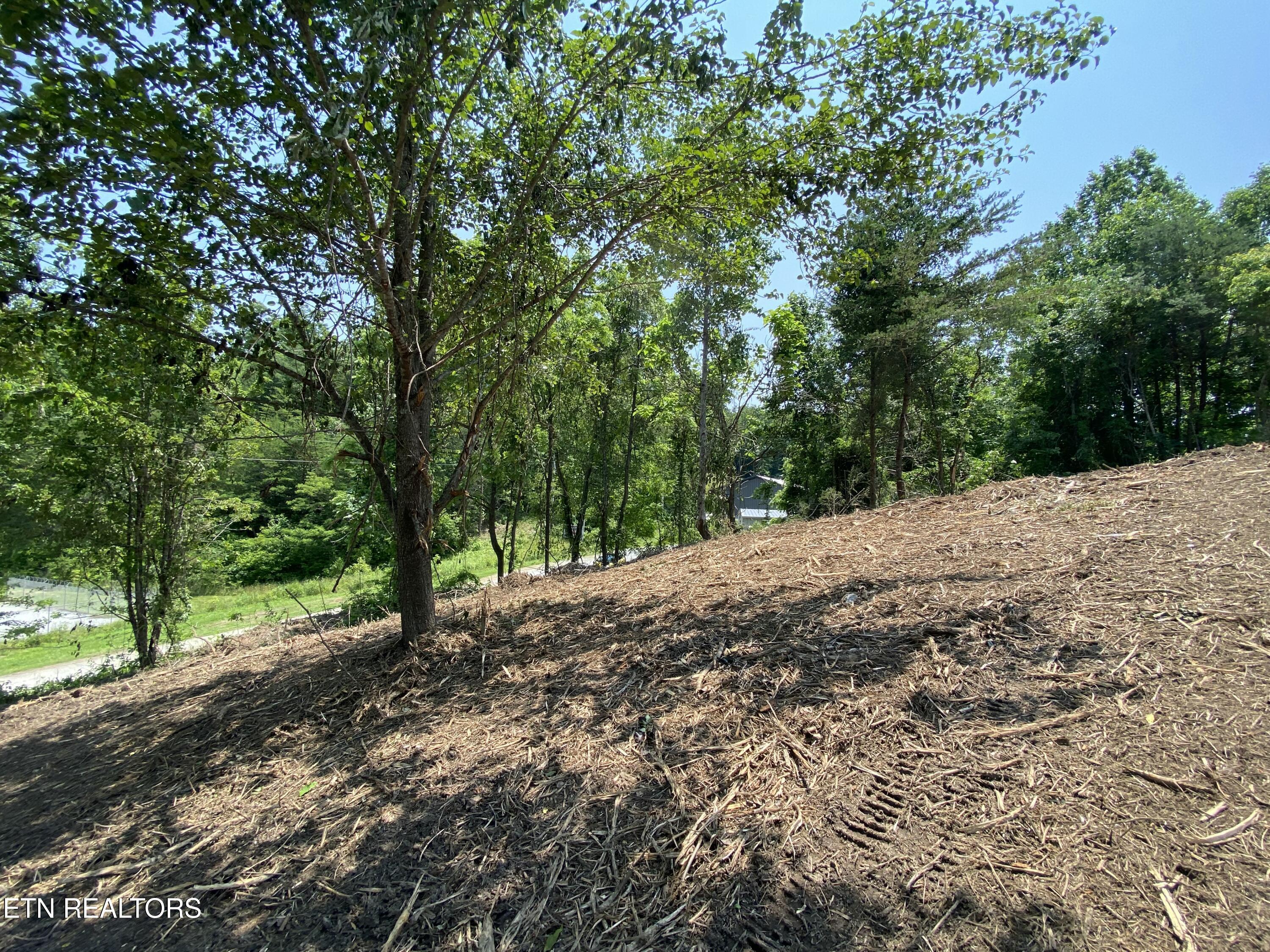 Grantsboro Road Lafollette TN 37766