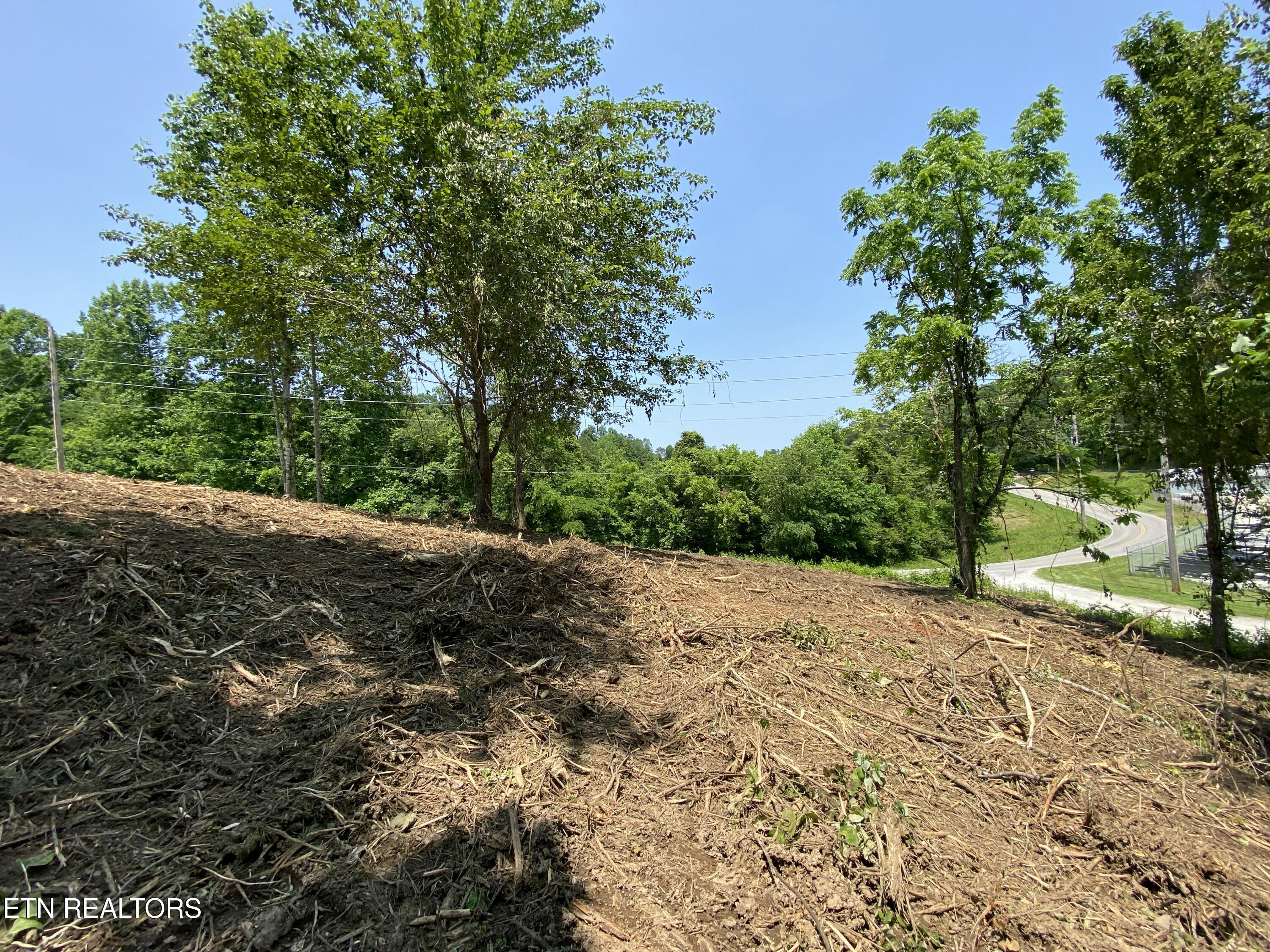 Grantsboro Road Lafollette TN 37766