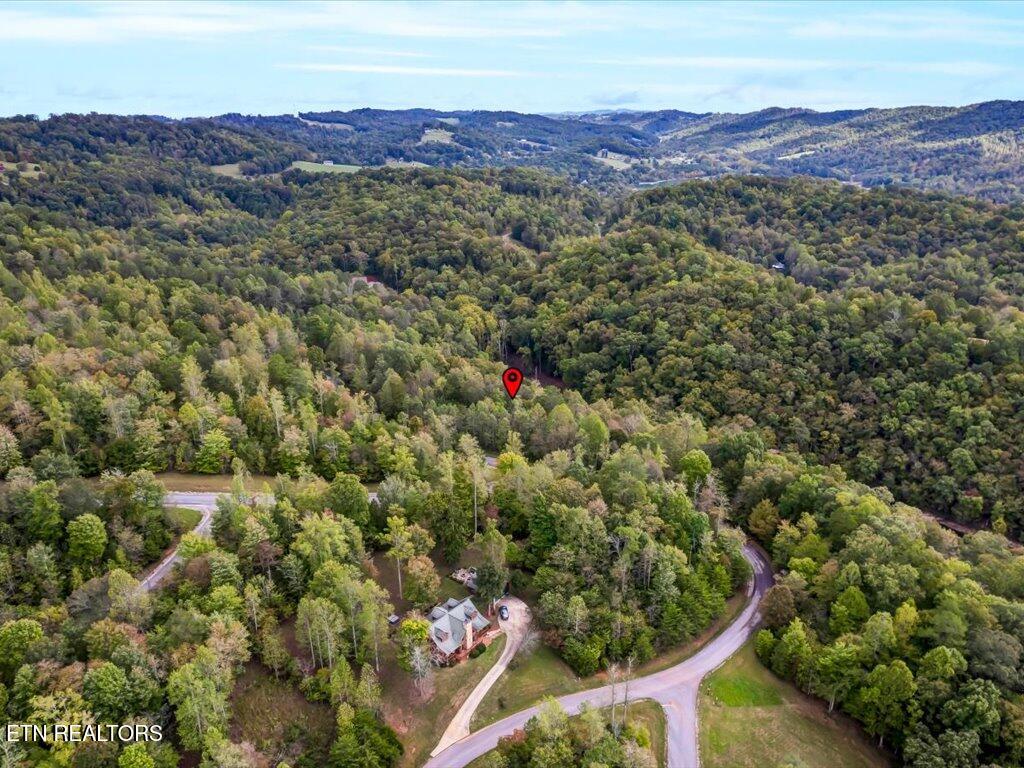 Lot 410 Mystic Star Drive New Tazewell TN 37825