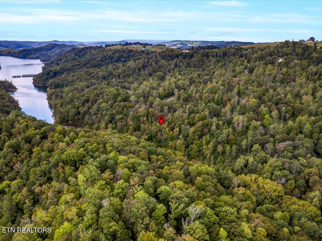 Lot 410 Mystic Star Drive New Tazewell TN 37825
