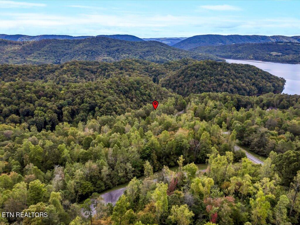 Lot 410 Mystic Star Drive New Tazewell TN 37825